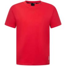 T-shirt Brvn Swallow