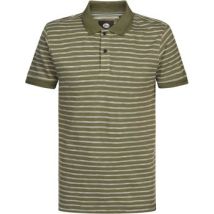 T-shirt Petrol Industries Polo Rayures Vert