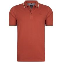 Polo Mario Russo Tipped Polo Edward