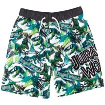 Maillots de bain enfant Jurassic Park NS7048
