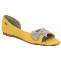 Ballerines Maciejka 0554A07005