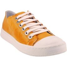 Baskets Chacal 6331
