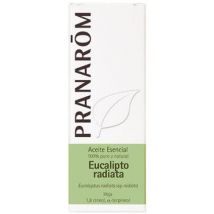 Bougies, diffuseurs Pranarôm Huile Essentielle eucalyptus Radié