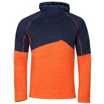 Sweatshirts à capuche Alpine Pro MSWB331319