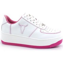 Baskets Windsor Smith REBOUNDWM