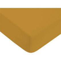 Draps housse Future Home Drap housse uni en coton 57 fils