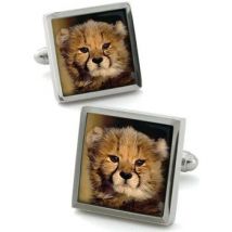 Boutons de manchettes Robert Charles Boutons de manchette Singe Marron