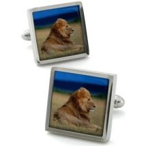 Boutons de manchettes Robert Charles Boutons de manchette Lion Marron