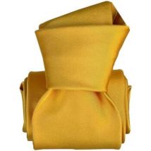 Cravates et accessoires Segni Et Disegni Cravate classique Satin