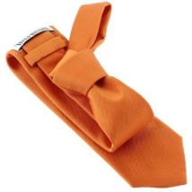 Cravates et accessoires Tony & Paul Cravate PAUL