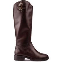 Bottes Sole Gabby Knee High Des Bottes
