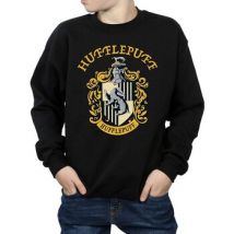 Sweatshirts Harry Potter BI796