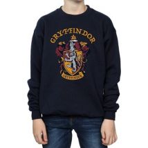 Sweatshirts Harry Potter BI796