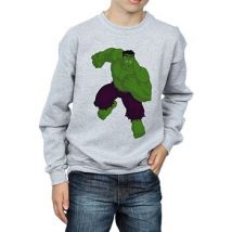 Sweatshirts Marvel BI993