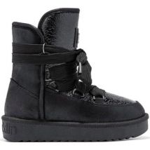 Bottes D.Franklin BOTTINES DFSH370006