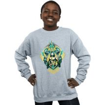 Sweatshirts Dc Comics BI6310