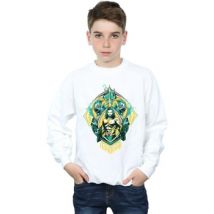 Sweatshirts Dc Comics BI6310