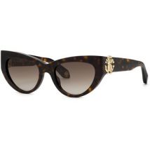 Lunettes de soleil Roberto Cavalli SRC017M Lunettes de soleil, Havana/Marron, 53 mm