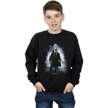 Sweatshirts Les Animaux Fantastiques BI16735