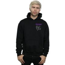 Sweatshirts à capuche Dc Comics BI4825