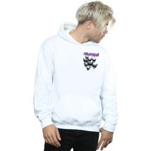 Sweatshirts à capuche Dc Comics BI4825