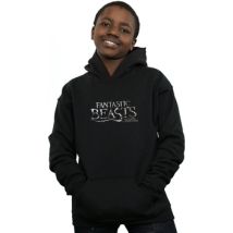 Sweatshirts à capuche Les Animaux Fantastiques BI6302