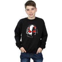 Sweatshirts Marvel BI5895