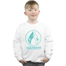 Sweatshirts Dc Comics BI5981