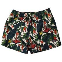 Maillots de bain Bear 276081
