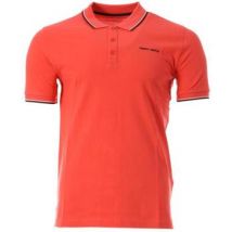 Polo Teddy Smith 11316819D