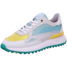 Baskets Floris Van Bommel -