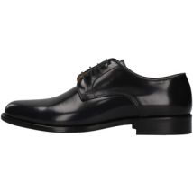 Derbies Fedeni 901OV