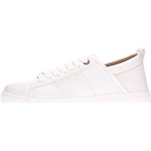 Baskets Alexander Smith -