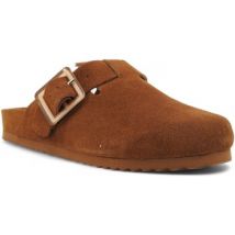 Mules Colors of California HC.BIO086TN