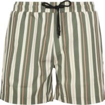 Maillots de bain Anerkjendt Short de Bain Shark Vert Rayé