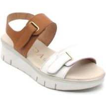 Sandales Giorda 19103