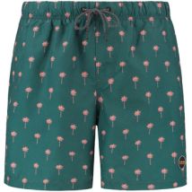 Maillots de bain Shiwi Short de Bain Scratch Palm Vert Cilantro
