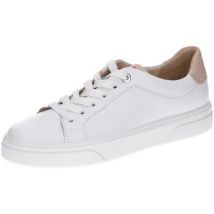 Ville basse Lloyd -