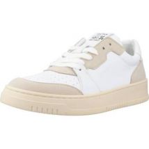 Baskets Vegtus SPIDER