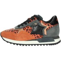 Baskets montantes Atlantic Stars AS32W100