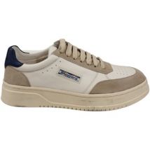 Baskets basses Shooters S5584-02
