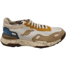 Baskets basses Shooters S6388-02