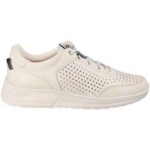 Baskets basses Luisetti 36213NA