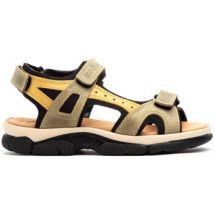 Sandales Morxiva Shoes -