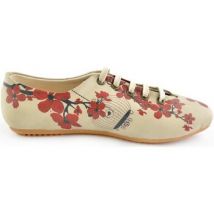 Derbies Goby SLV025