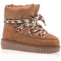Bottes D.Franklin BOTTINES Nordic Nova Low Bomb