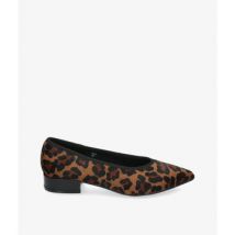 Ballerines Stephen Allen ZELO K19123-38