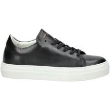 Baskets basses sneaky steve Sneaker