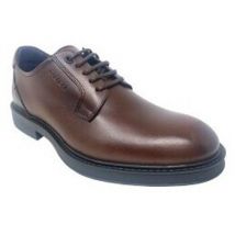 Chaussures Baerchi Chaussure homme marron 1160