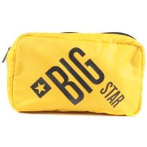 Sac à main Big Star II574035